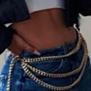 aritzia auxiliary gold chain belt